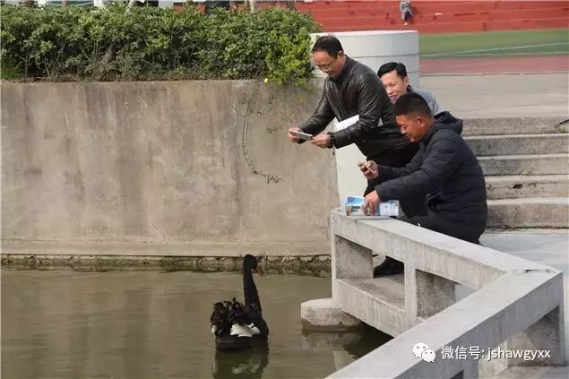 学校文化墙学生展示栏_学生个人展示墙_学校展示栏设计图片